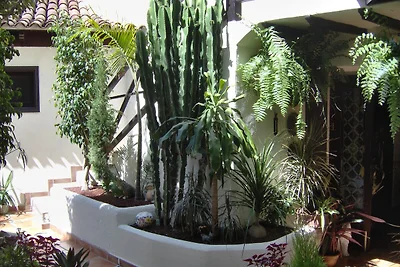 Ferienwohnung in Meeresnähe nur für...