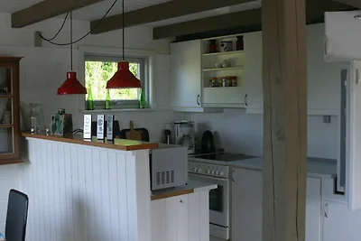 6 Personen Ferienhaus in Glesborg