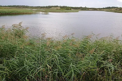 Gemütliches Strandhaus in Vejers