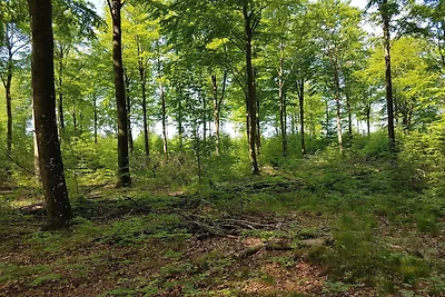 Gemutliches Refugium in Arrild -- By Traum...