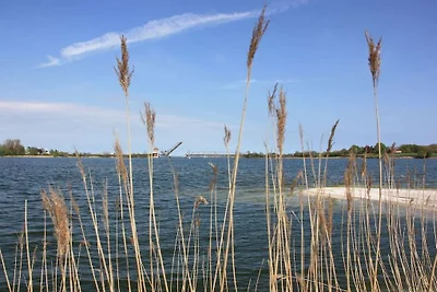 "Sonnenwohnung an der Schlei"
