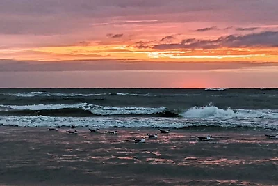 5 Sterne Ferienhaus in Løkken
