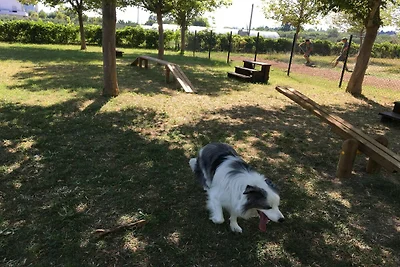 Bungalow im Ferienpark in Cologna Spiaggia