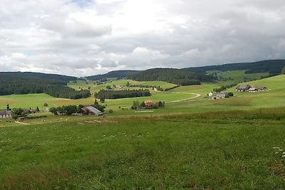 Ferienhaus mit 1 Schlafzimmer