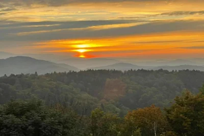 Wohnung im Bayerischen Wald Baumwipfel