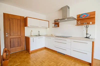 Sunny and Spacious Apartments with Terrace ne...