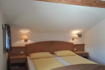 Araucaria in der Residence Braiter