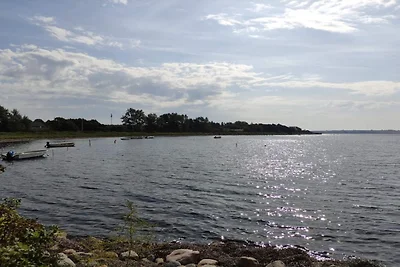 6 Personen Ferienhaus in Millinge