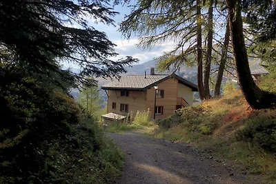 Ai margini della foresta nello Chalet Tilly
