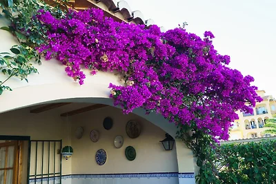 Mirall - Haus In Xàbia/jávea. Wifi Gratis