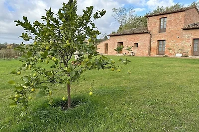 Fornace del Conte - Vigneto