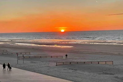 Wohnung Primavera in Koksijde