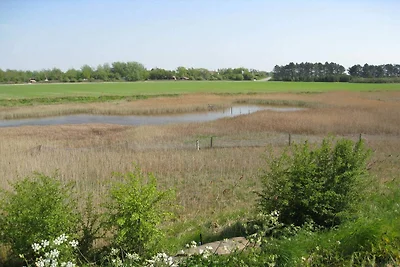 6 Personen Ferienhaus in Dannemare