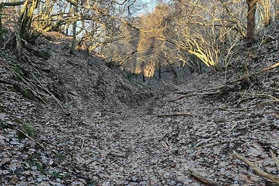 10 Personen Ferienhaus in Brovst
