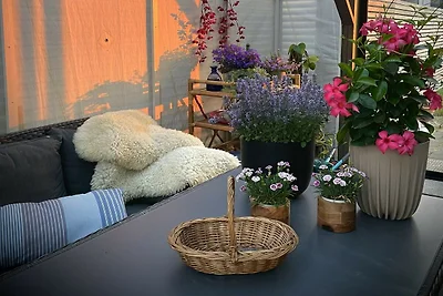 5 Sterne Ferienhaus in Vesterøy