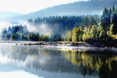 Ferienwohnung mit 1 Schlafzimmer