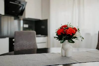 Modern Seget Vranjica Apartment with Terrace ...