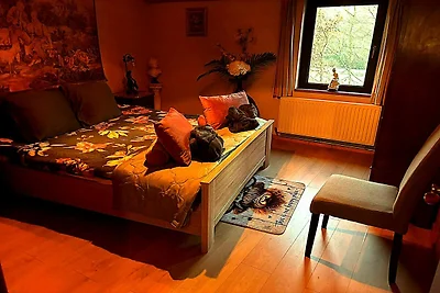 Hundefreundliches Zuhause mit Schaumbad