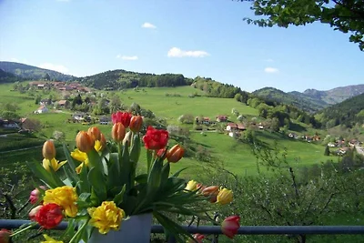 Ferienhaus mit 1 Schlafzimmer