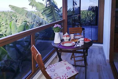 Ferienhaus, Fuencaliente