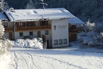 Hatzlhof Residenza di vacanza confortevole