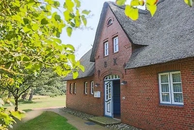 Ferienhaus in Nebel mit Schwimmbecken