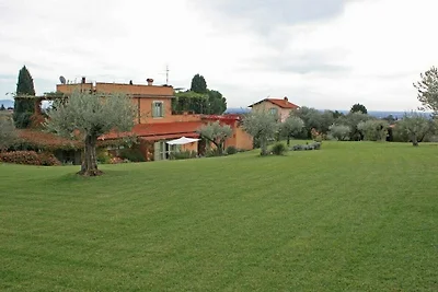 Glicine - Vigna Luisa Resort