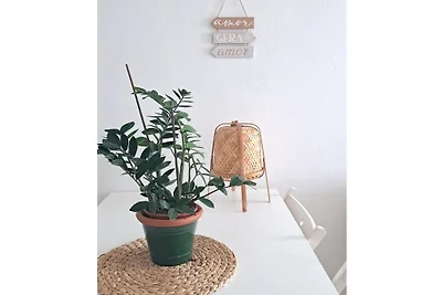 Vakantieappartement met 2 slaapkamers
