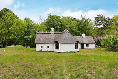 9 persoons vakantie huis in Vig-By Traum