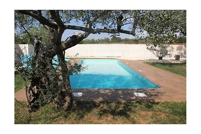 Ferienhaus in Visnjan mit Schwimmbecken