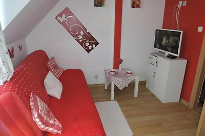 Komfortables Studio in Meeresnähe