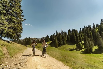Chalet Gelinote für 4 Personen
