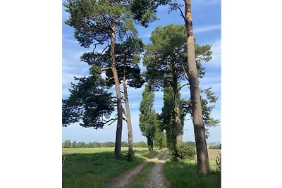 Kleine Groene Basedow