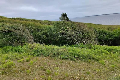 6 Personen Ferienhaus in Spøttrup-By Traum