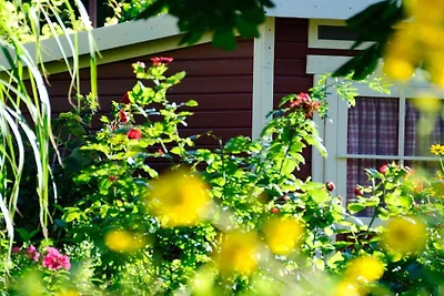 Apartament wakacyjny z 1 sypialnią
