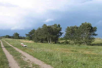 11 Personen Ferienhaus in Væggerløse-By Traum