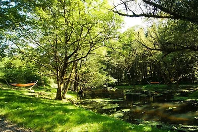 - FORSTGUT Premium Lodge Suiten