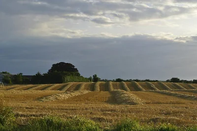 5 Personen Ferienhaus in Hejls