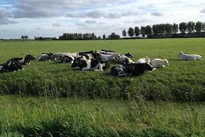 Rolstoelvriendelijk vakantiehuis aan het wate...