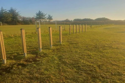 6 Personen Ferienhaus in Blåvand-By Traum