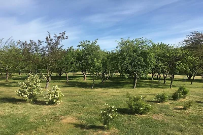 8 Personen Ferienhaus in Sæby-By Traum