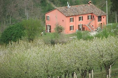 Gemütliches Ferienhaus in Tredozio mit Grill