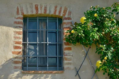 Ferienhaus in Cecina mit Schwimmbecken