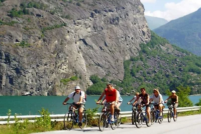 3 persoons vakantieparkhuis in Lærdal
