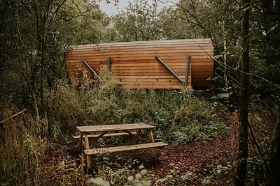 Gemütliches Baumhaus-Retreat in Overijssel