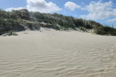 6 persone case ad Fanø-By Traum