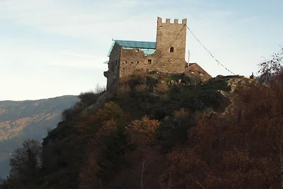 Pircher - Fiore di melo