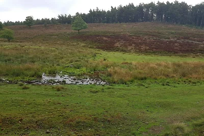 Luminosa Oasi Cottage a Silkeborg-By Traum