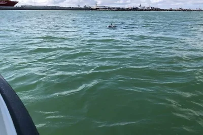 4 Personen Ferienhaus in Thyborøn