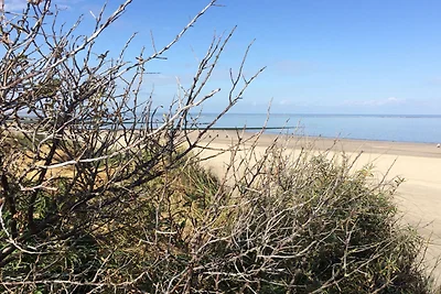Pusteblume Komfortable Ferienresidenz